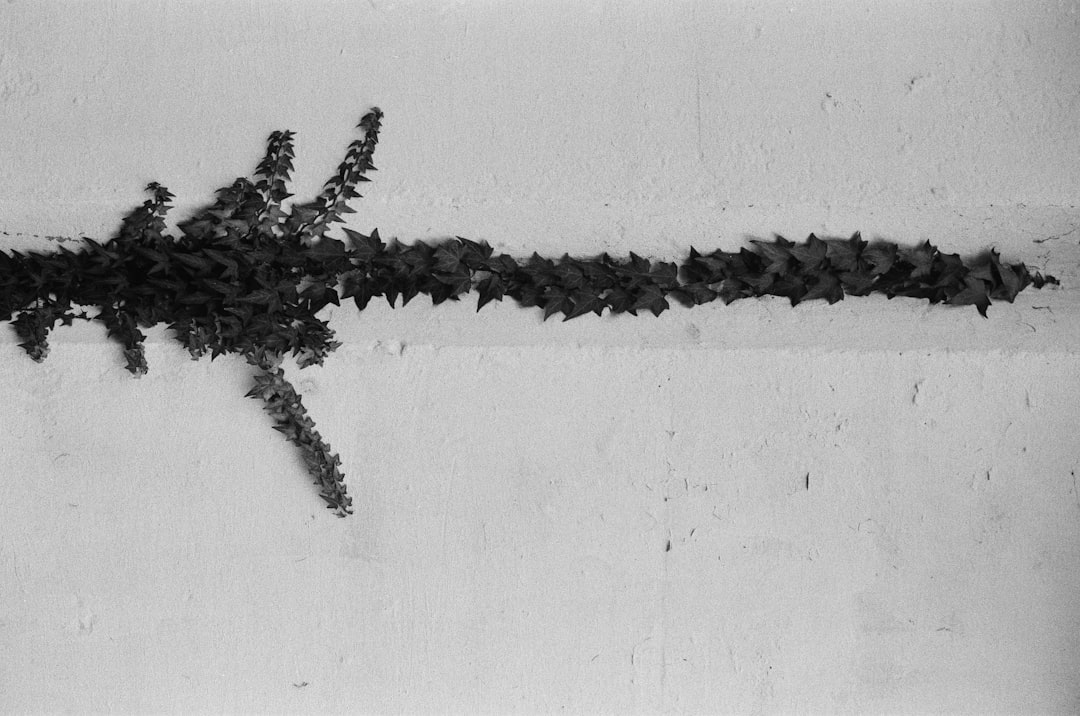 black rope on white wall