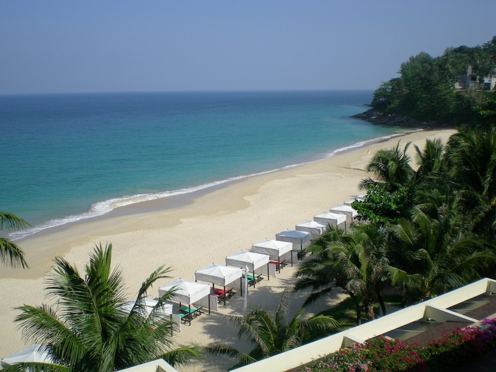 aerial view of houses near beach during daytime