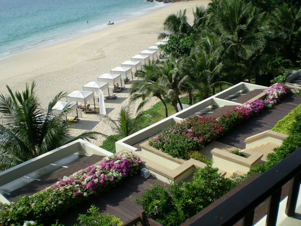 A beautiful beachfront scene featuring a row of white cabanas lined up along the sandy shore, bordered by lush palm trees. The foreground showcases a terraced area filled with vibrant pink and white flowers and well-maintained greenery. The ocean is calm, with gentle waves lapping the shore, and a few people can be seen enjoying the beach in the distance.