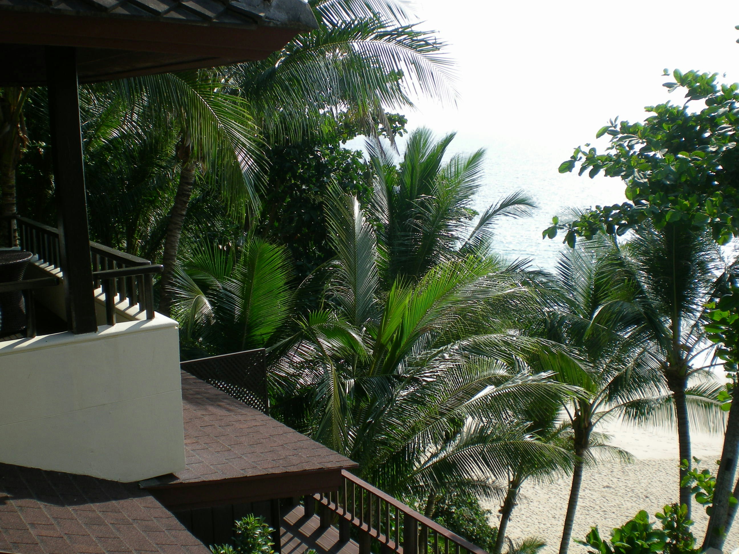 Photo by toma_solutions_internet