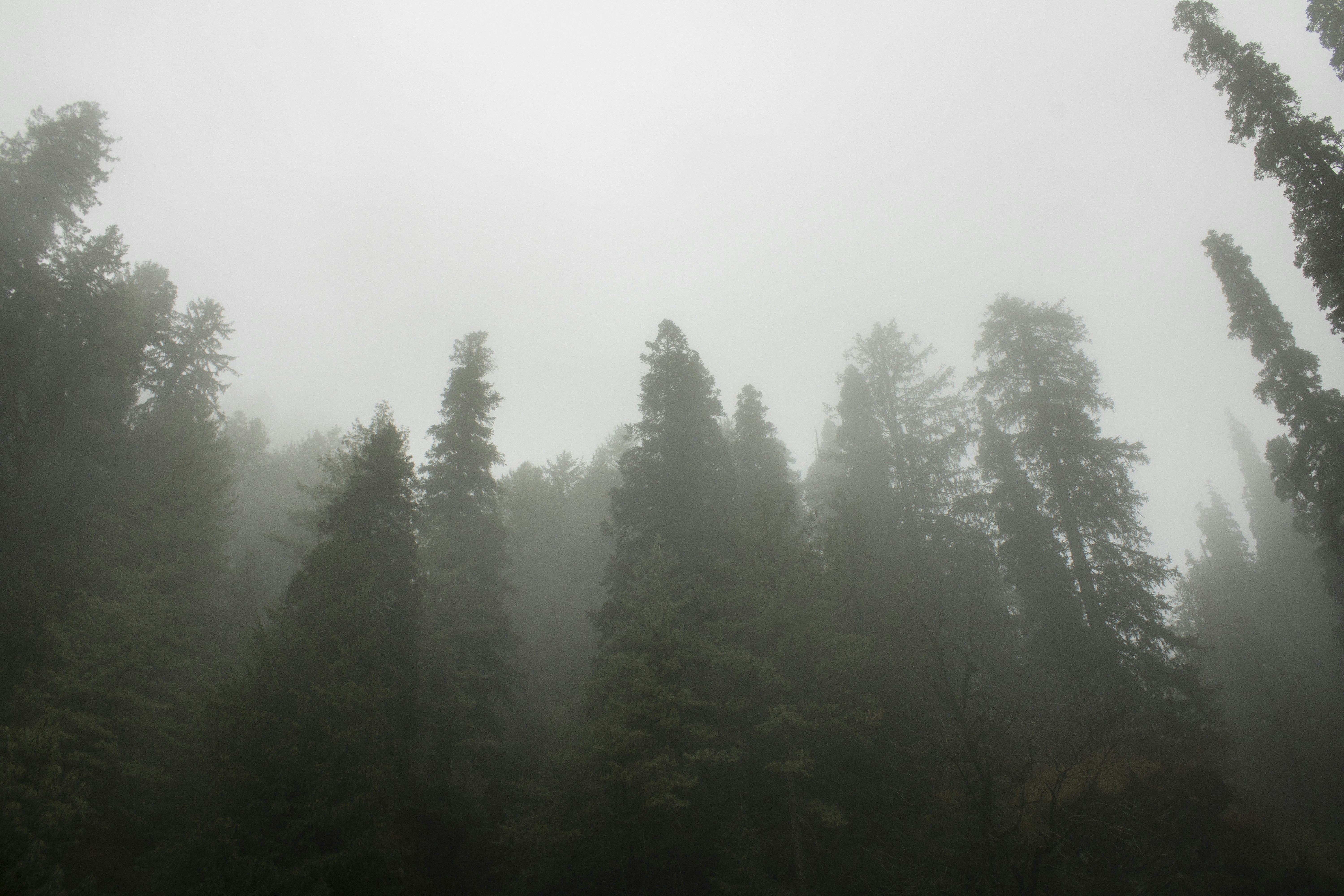 Photo by prashant_2075