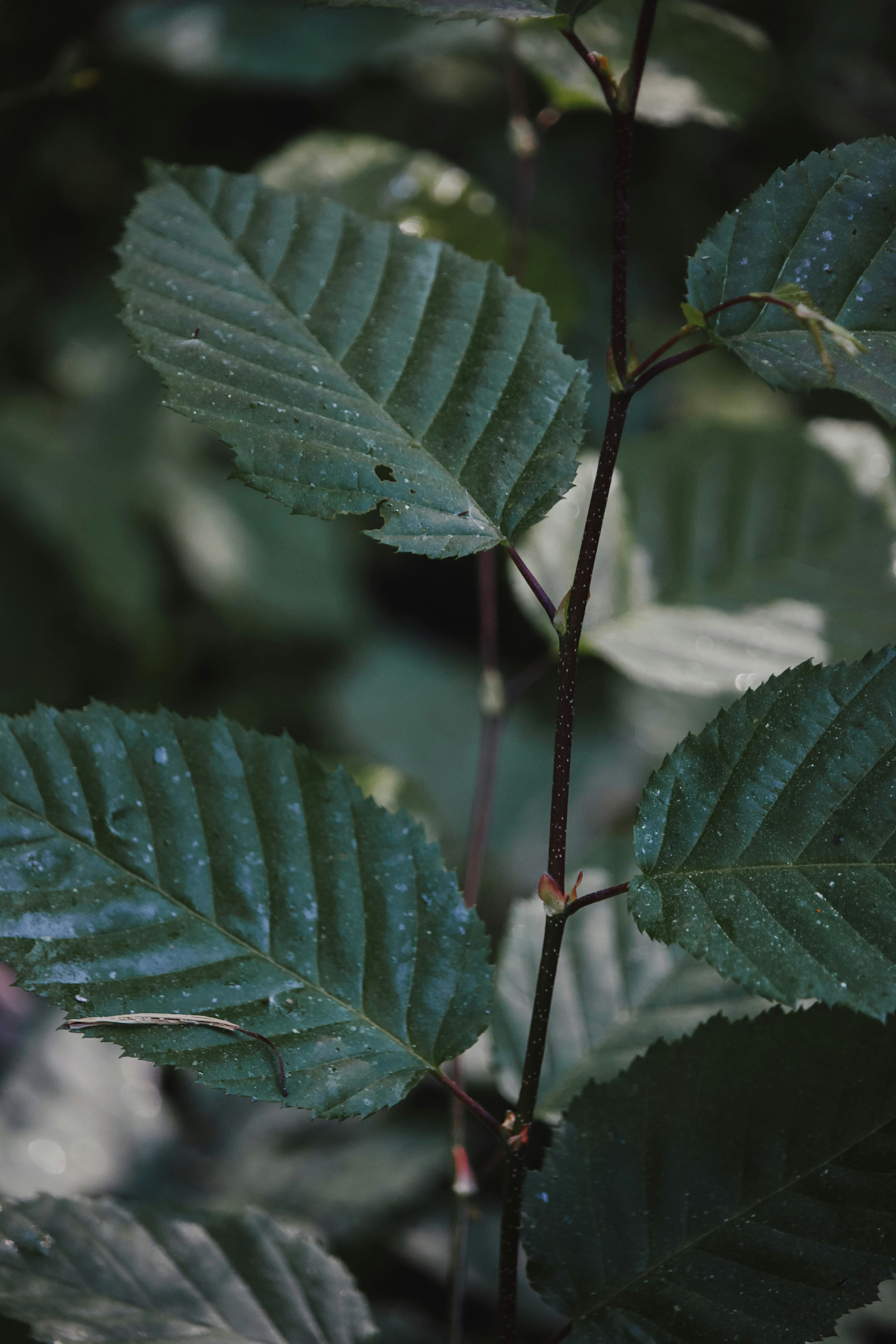 Photo by mariumqureshi_