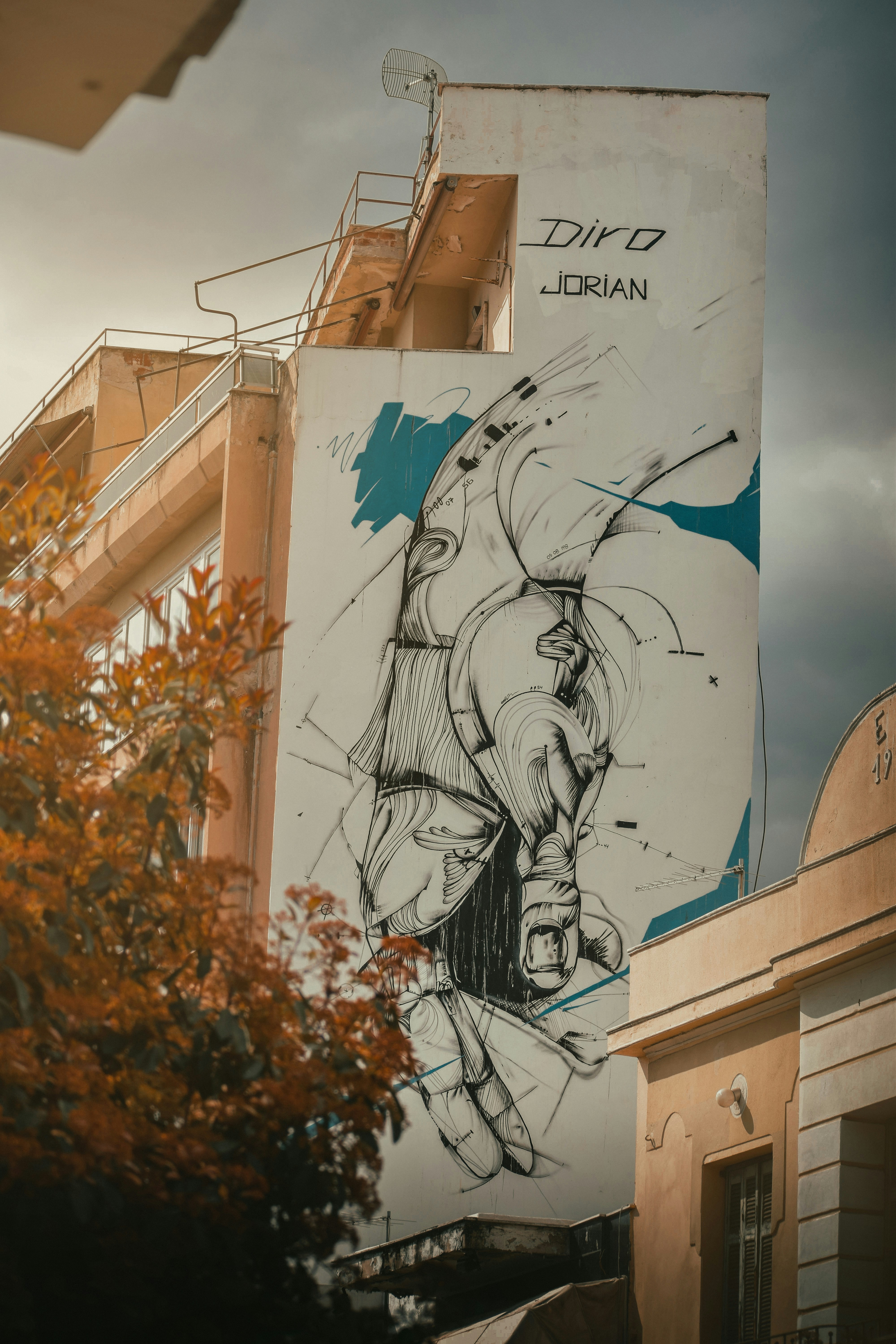 Arte mural de pájaros blancos y azules