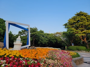 A sunlit view of the park's main entrance framed by blooming flowers in spring.