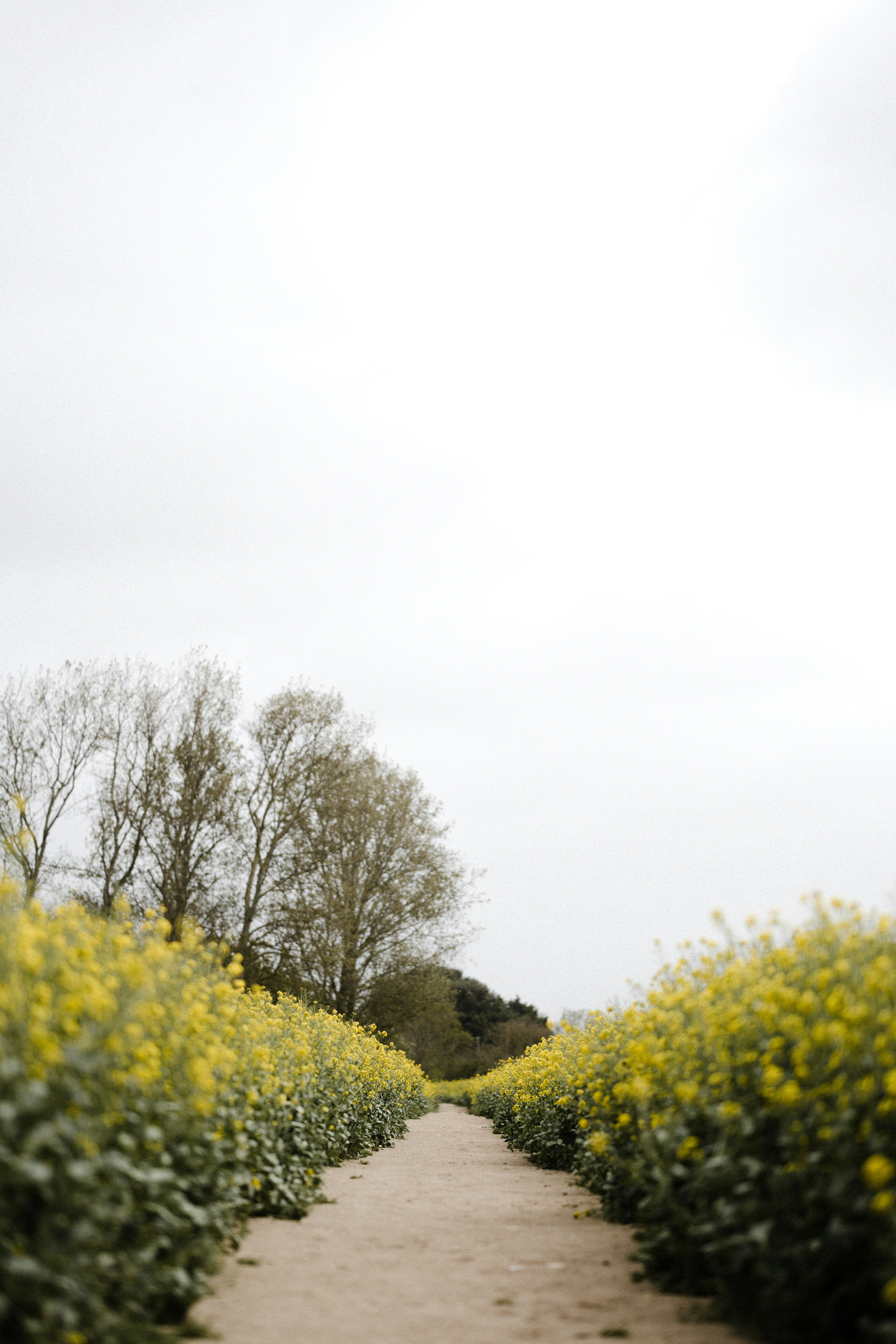 Photo by anniespratt