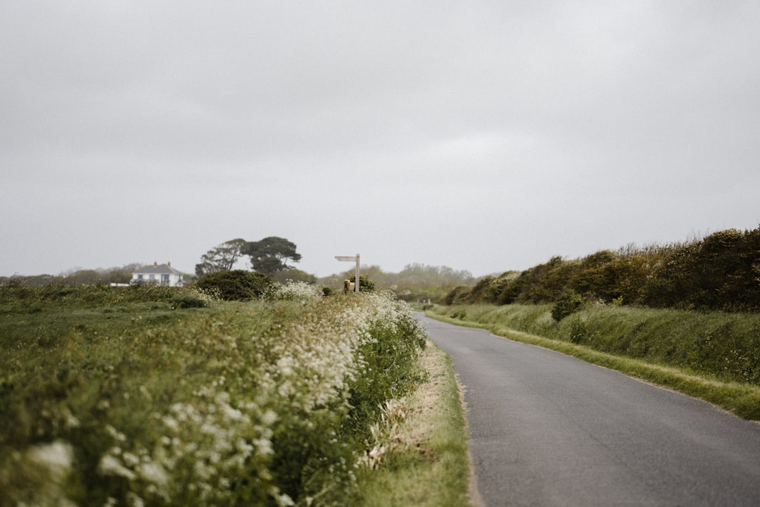 gray asphalt road between green grass field during daytime