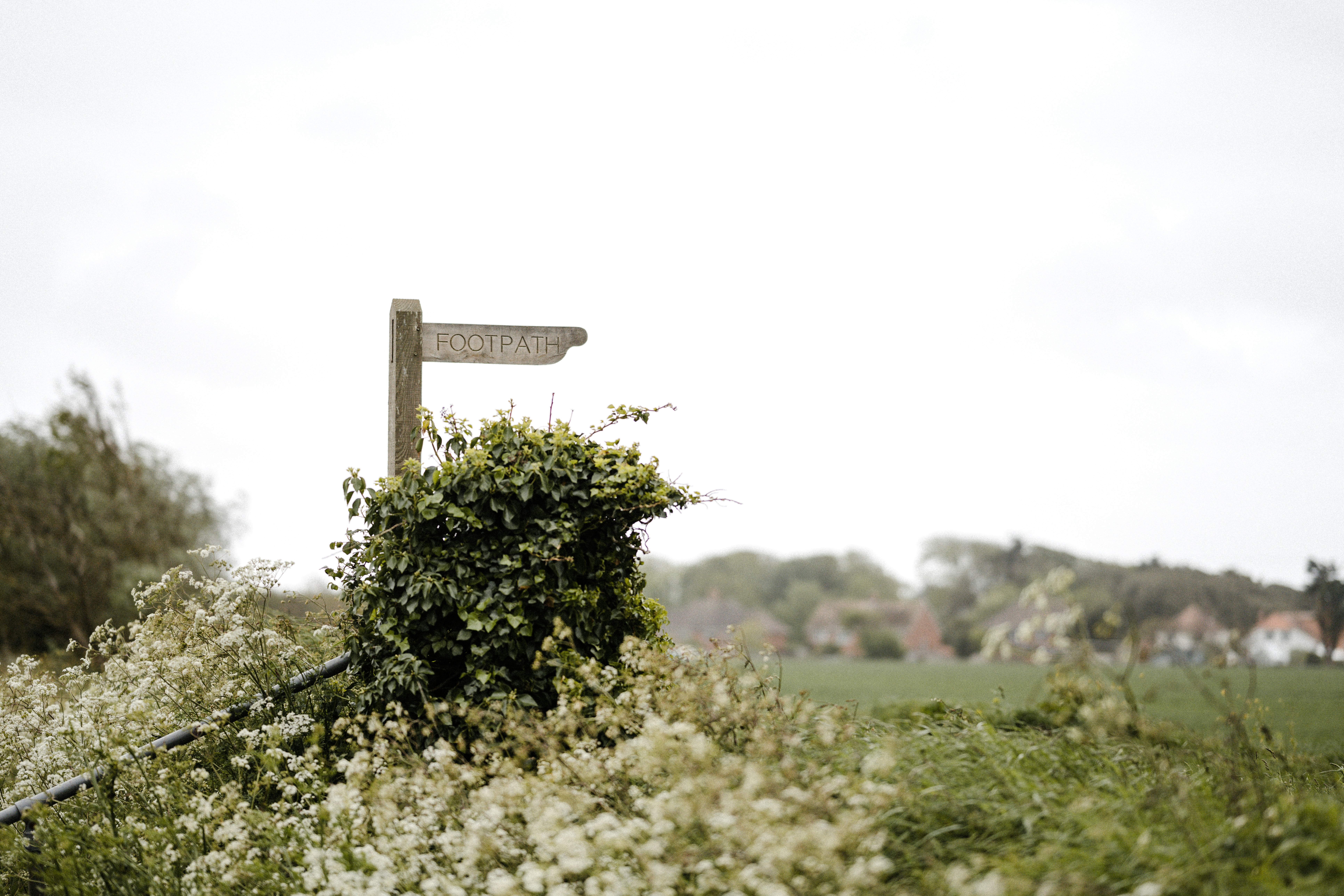 Photo by anniespratt