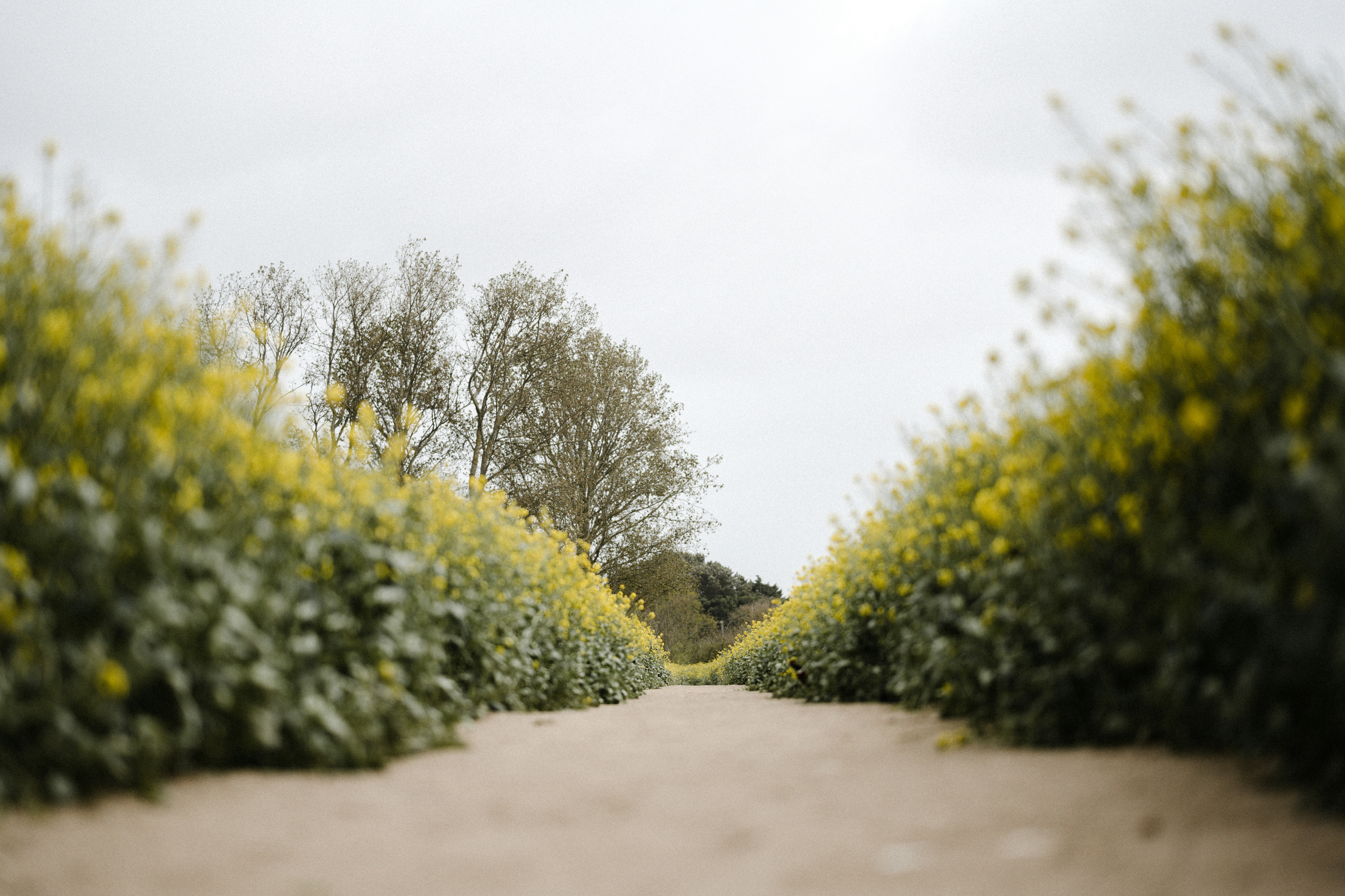 Photo by anniespratt