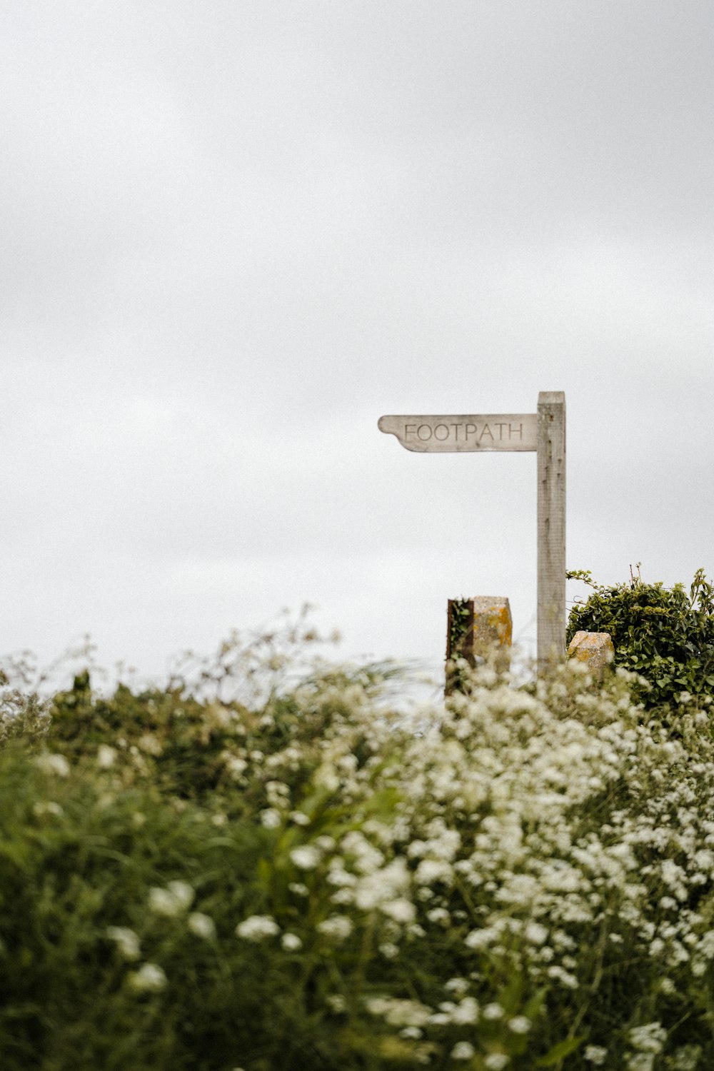 brown wooden cross with white flowers