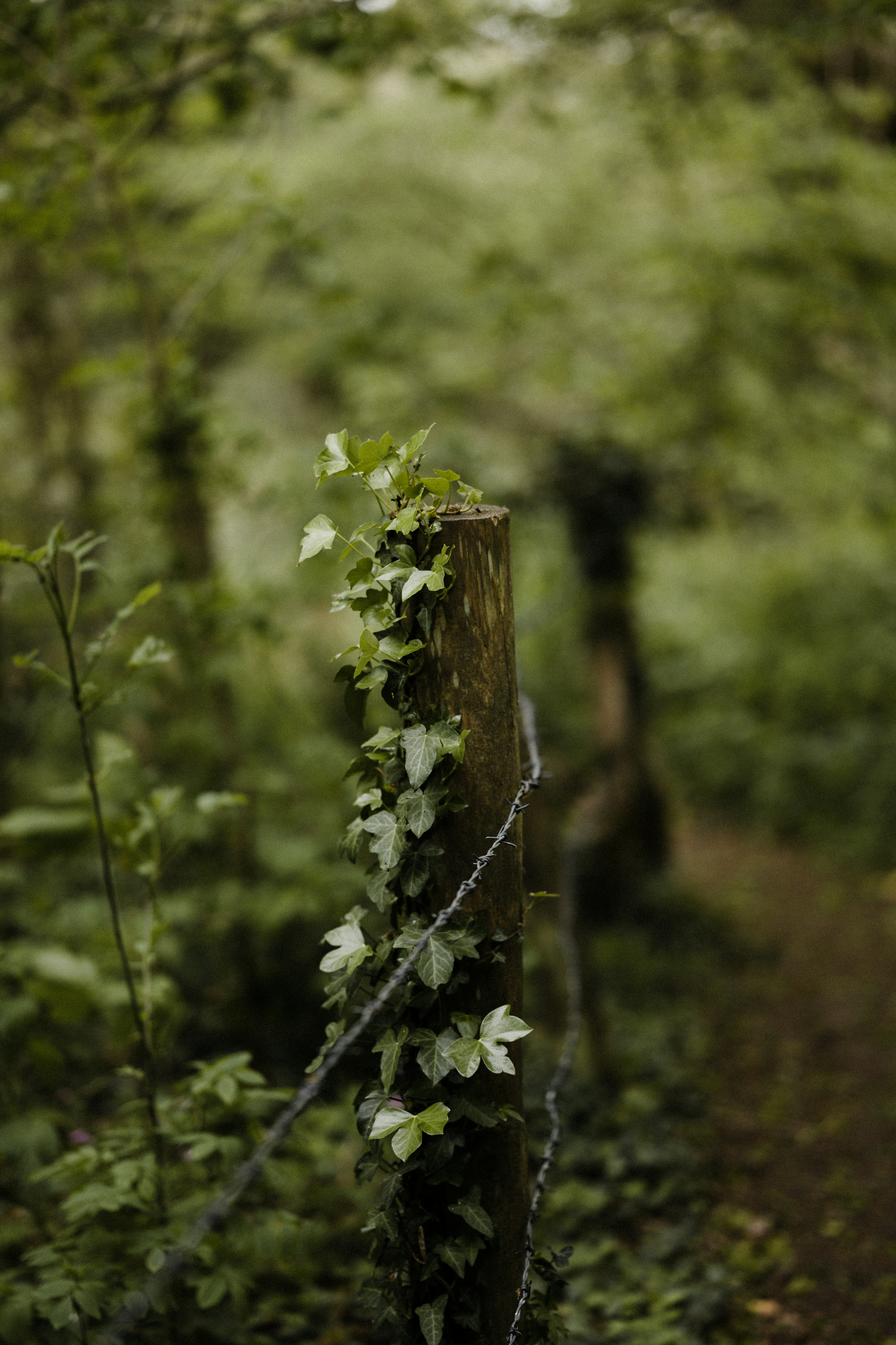 Photo by anniespratt