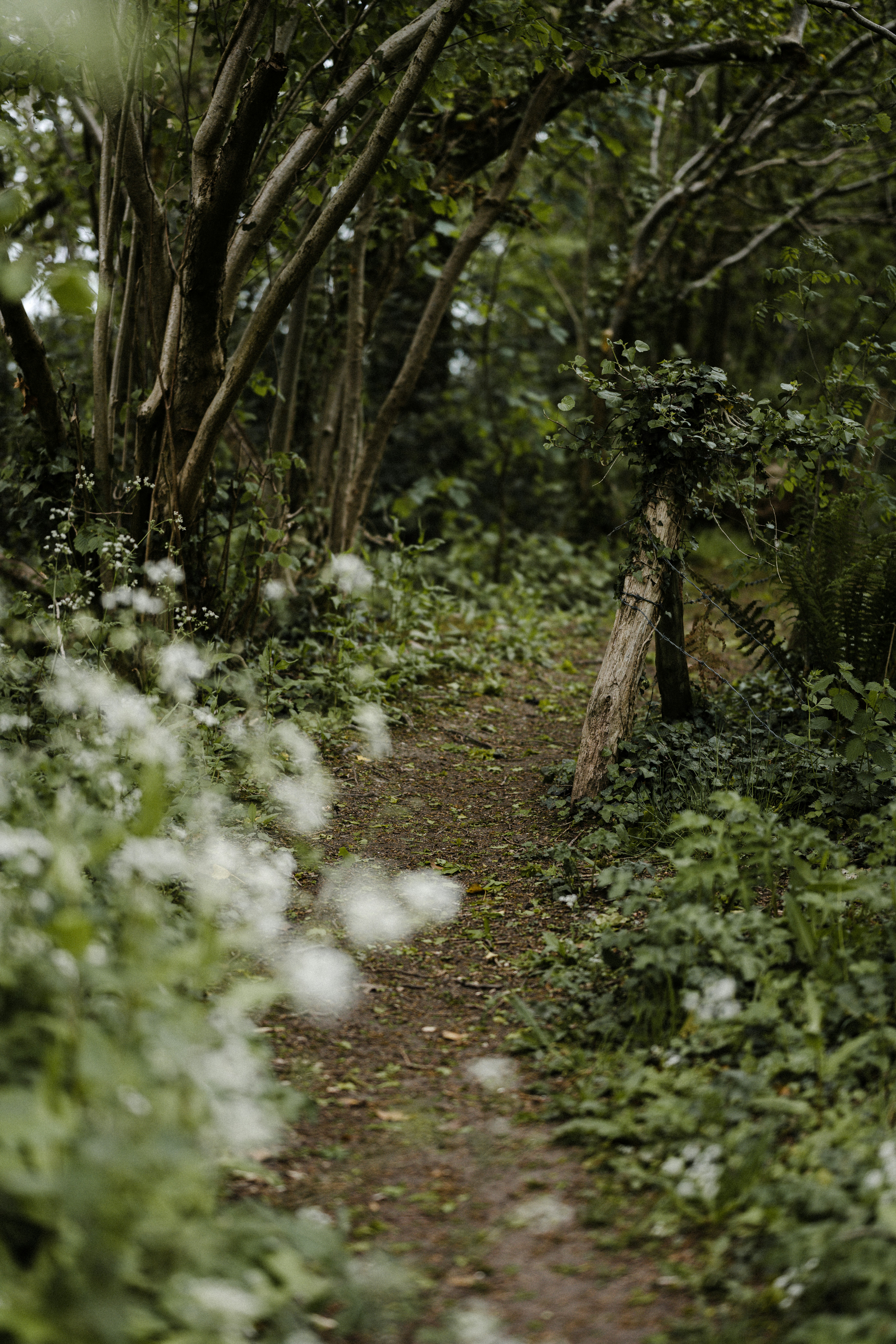 Photo by anniespratt