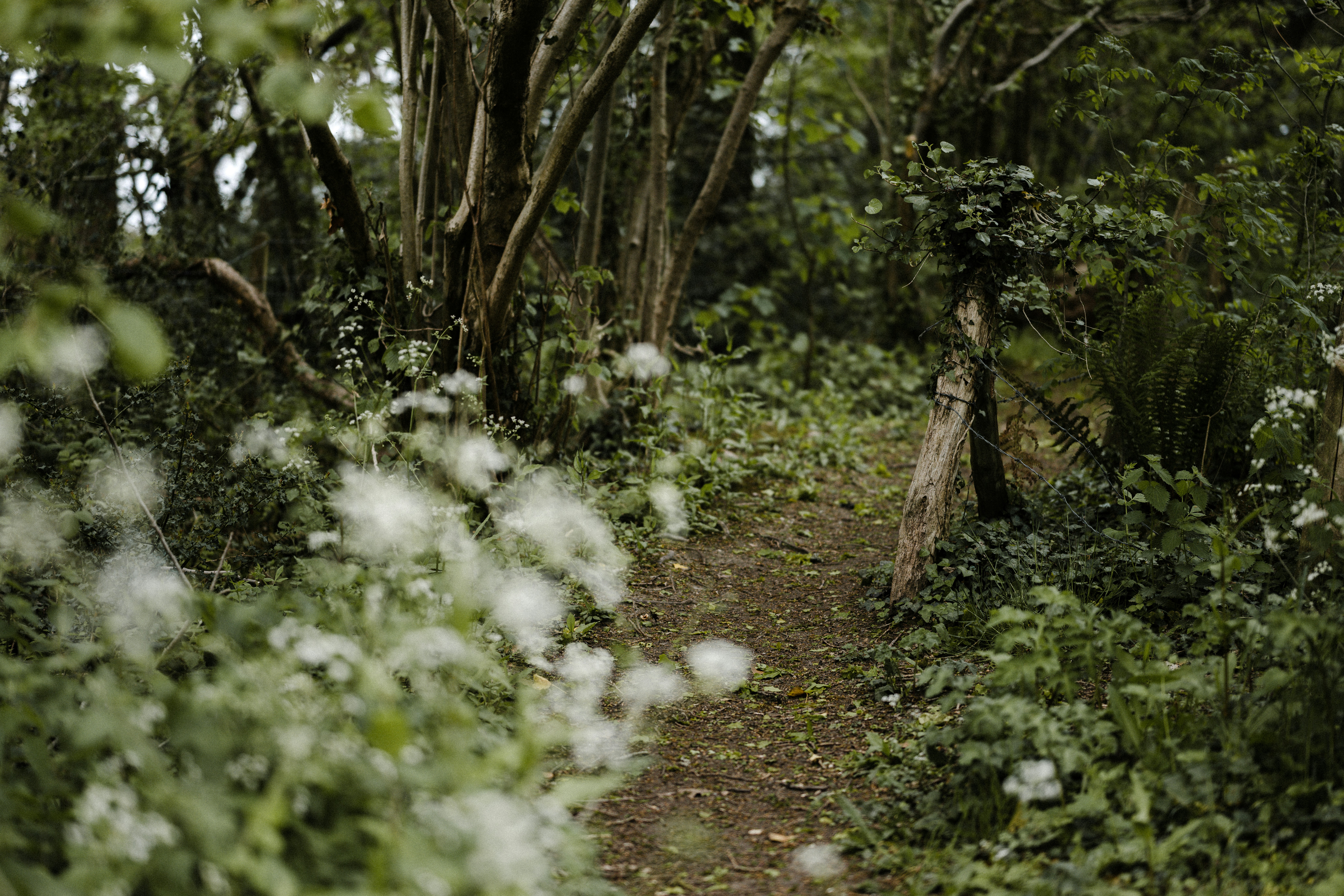 Photo by anniespratt