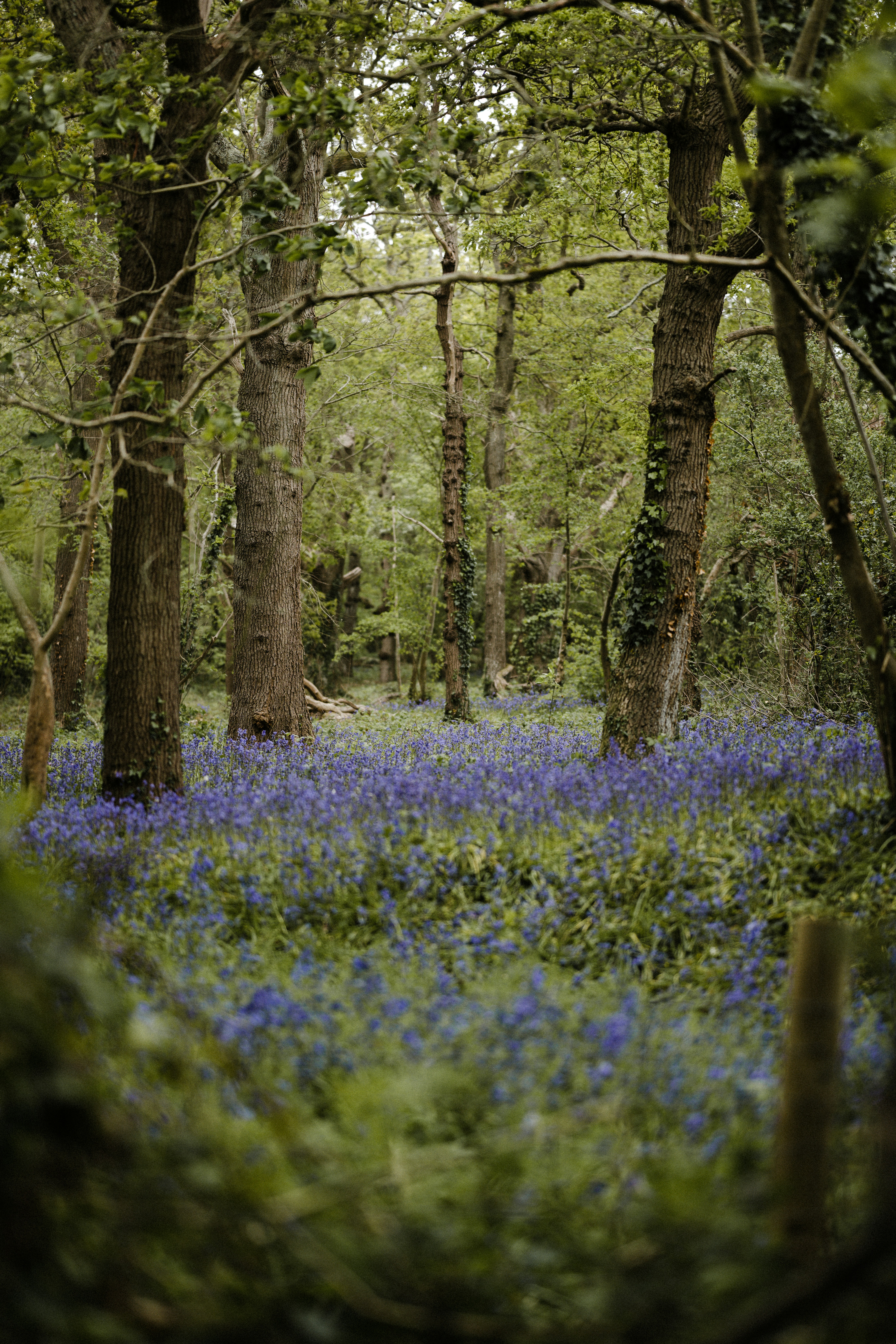 Photo by anniespratt