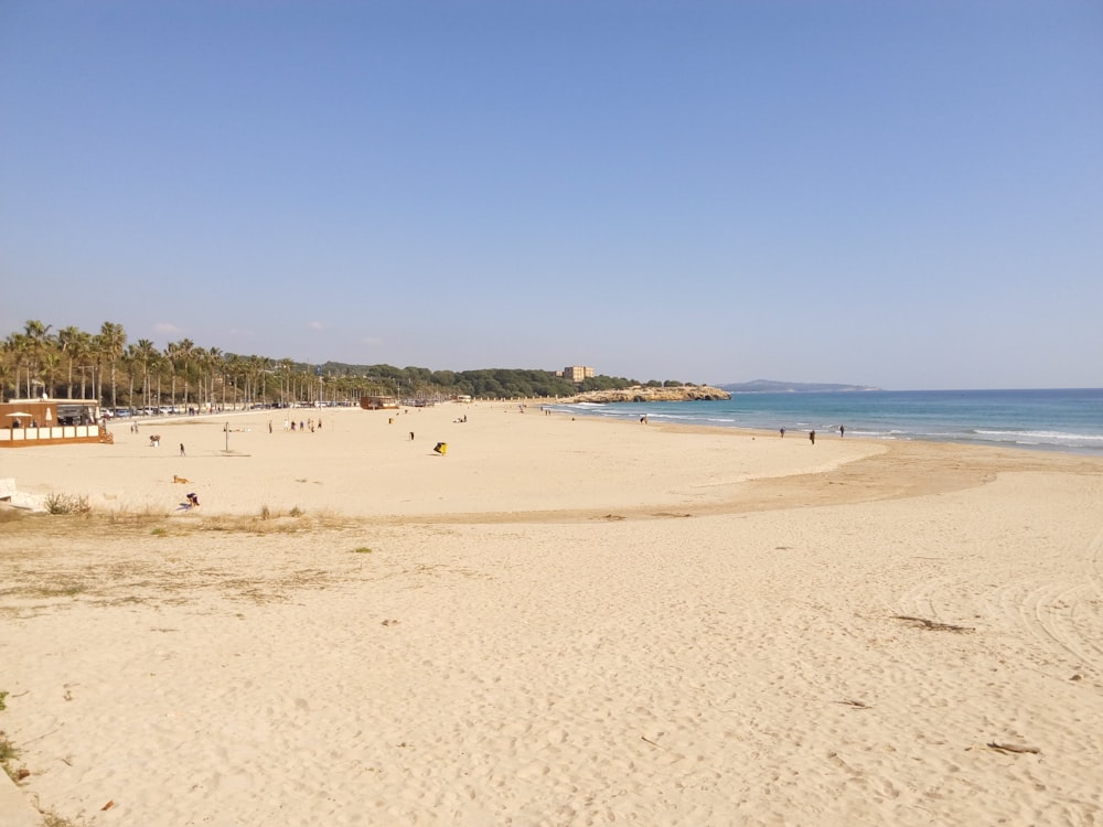 people on beach during daytime