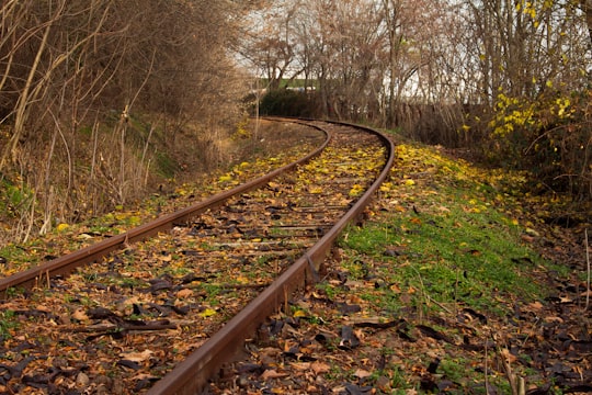 brown train rail surrounded by bare trees during daytime in Burgas Bulgaria