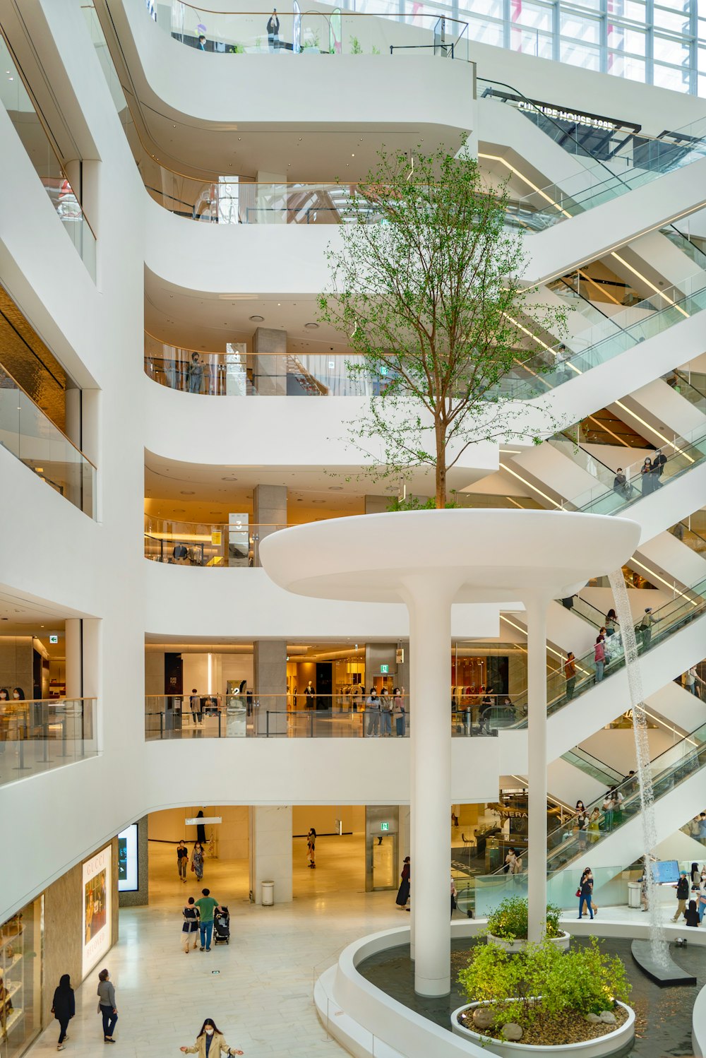 Albero nudo di fronte all'edificio di cemento bianco