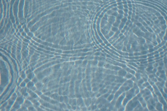 close up photo of water