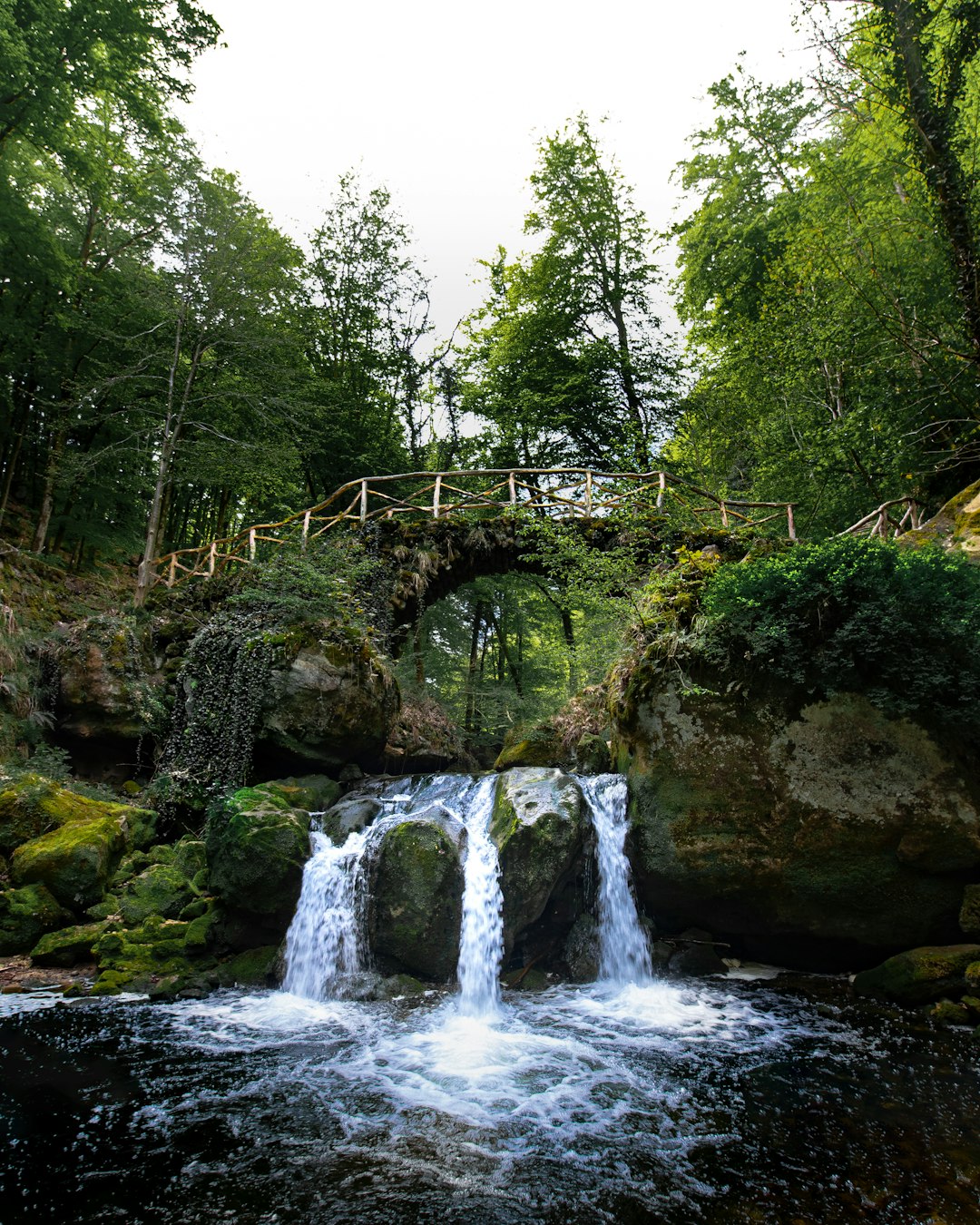 waterfalls in the middle of the forest