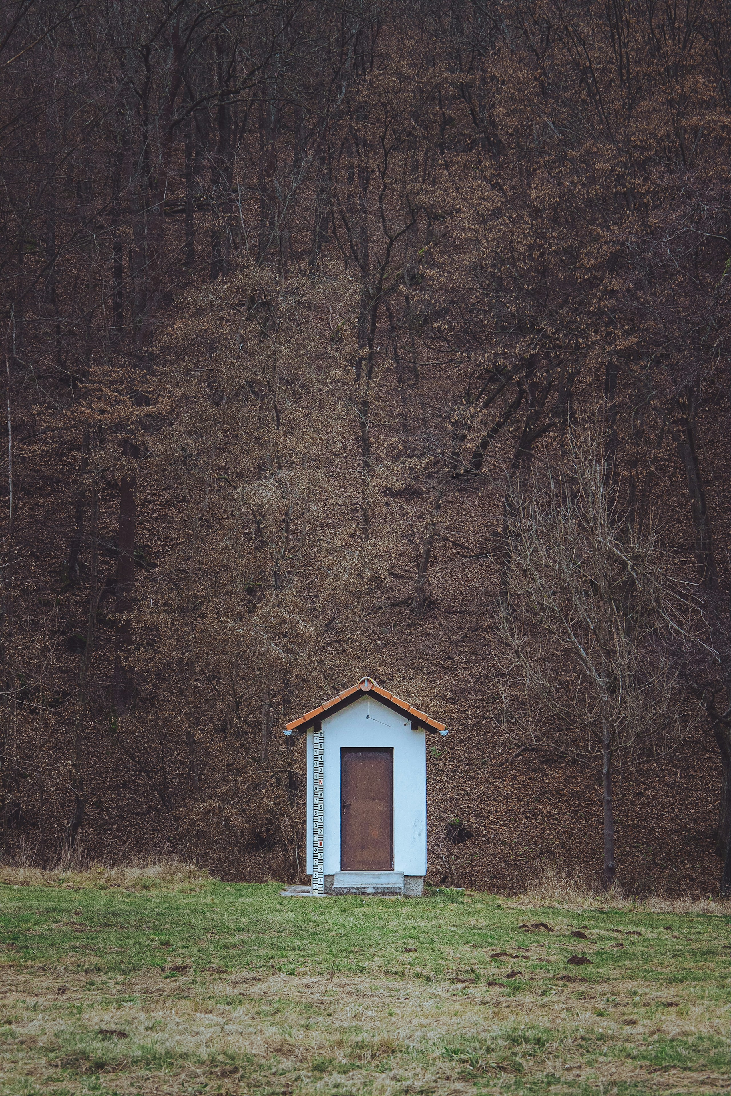 Photo by ladislavdavidek