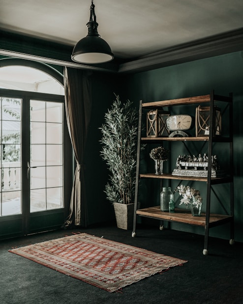 green wooden shelf with books and potted plants