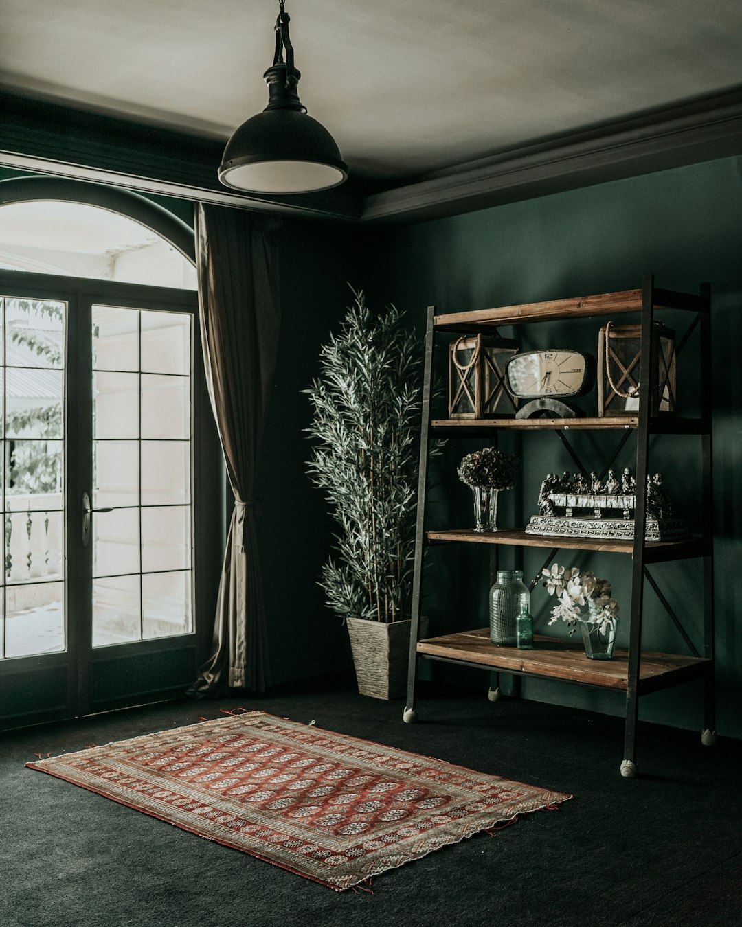  green wooden shelf with books and potted plants carpet