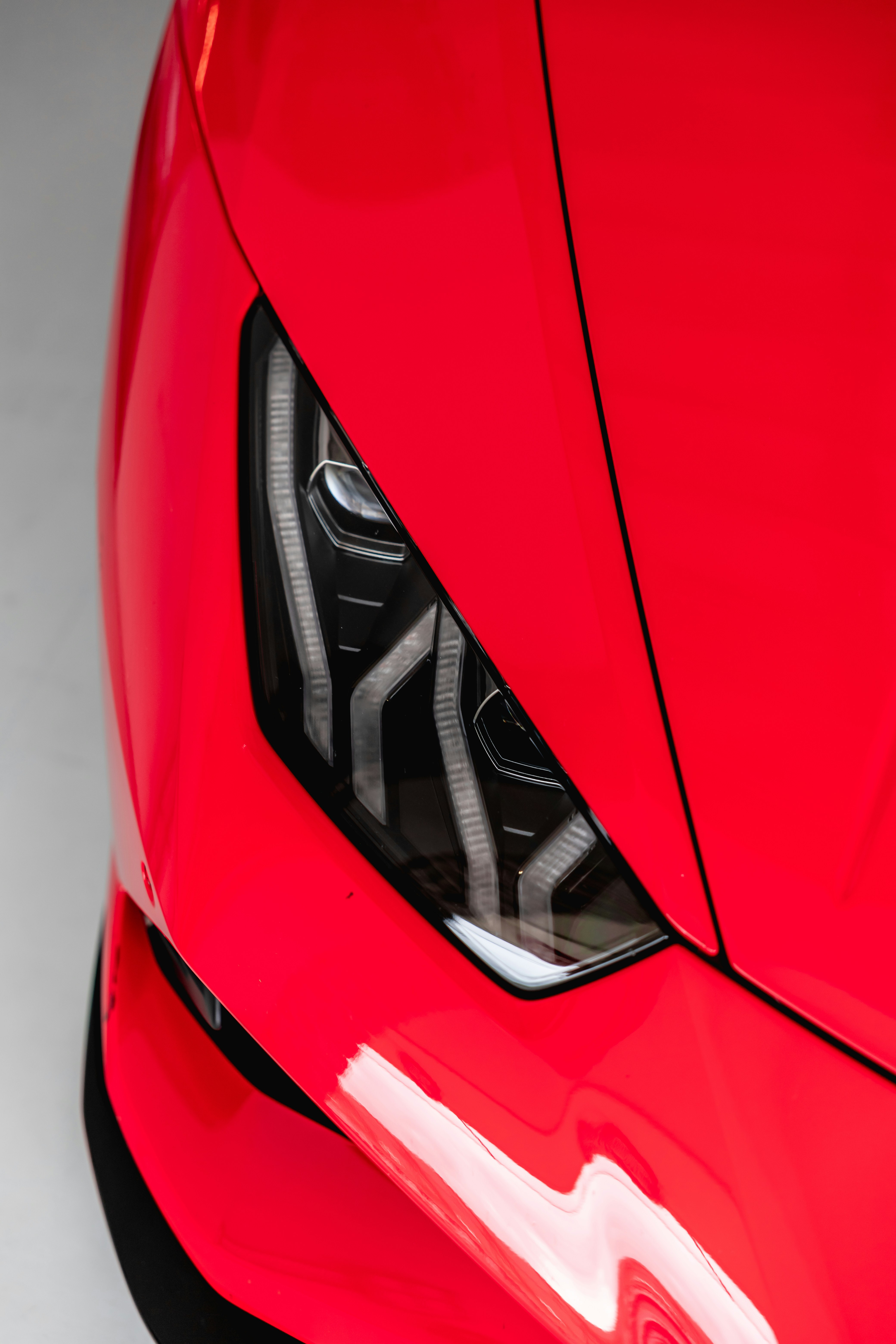 Photo by lonestarexotic