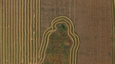Aerial view of farmland exhibiting parallel rows of harvested fields and a distinct, curved boundary with a patch of natural vegetation in the center. The fields are uniformly spaced, and small bales of hay are scattered across the cultivated sections.