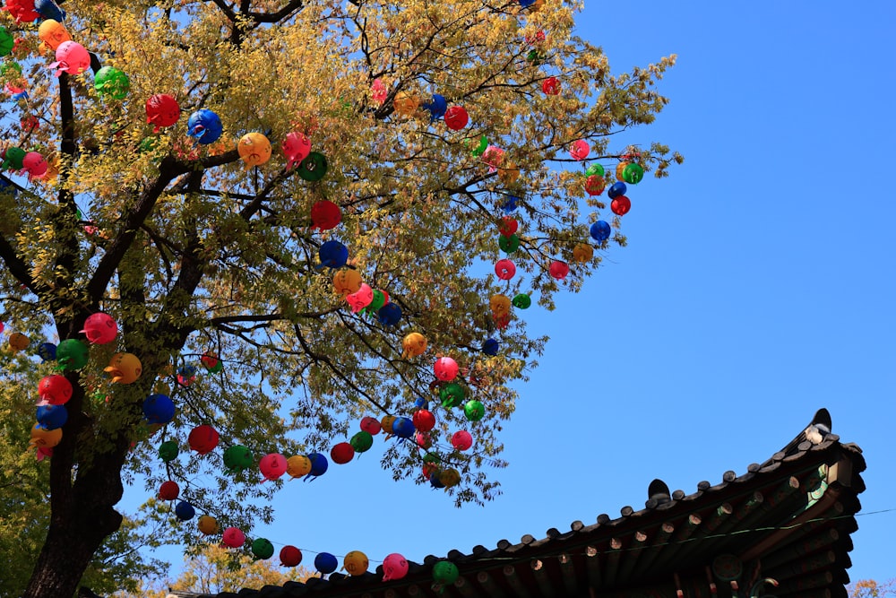 roter und gelber runder Obstbaum