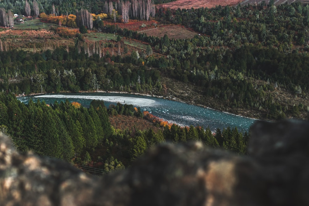 river between green trees during daytime