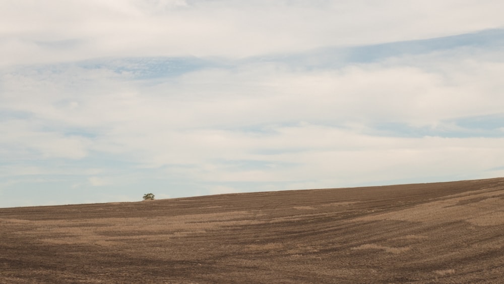 brown field under white clouds