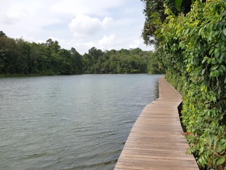 A serene lake surrounded by walking paths and lush greenery, with a few people enjoying a peaceful stroll.