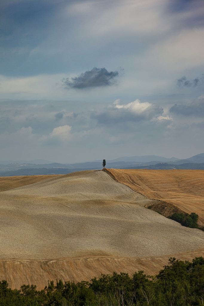 person in black shirt standing on brown sand under white clouds during daytime