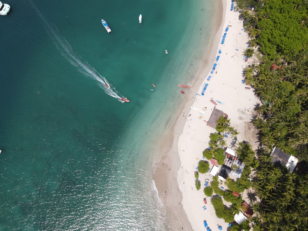 aerial view of people on beach during daytime