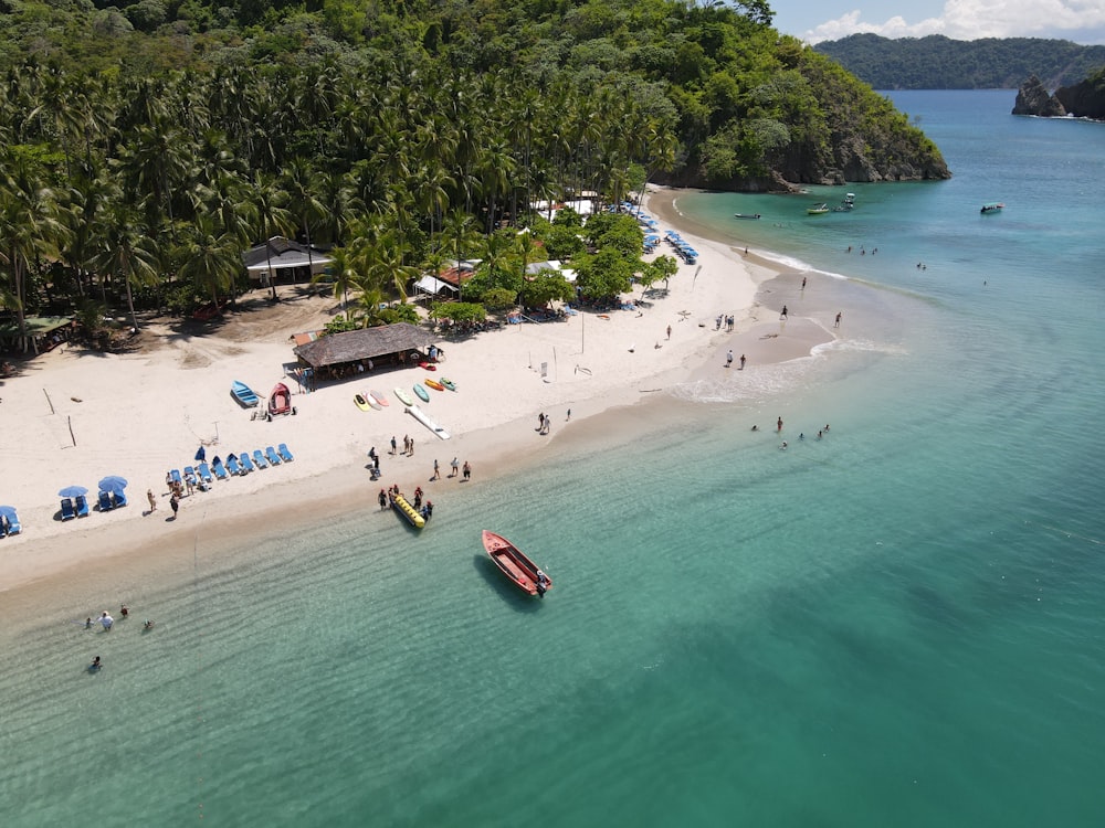 people on beach during daytime