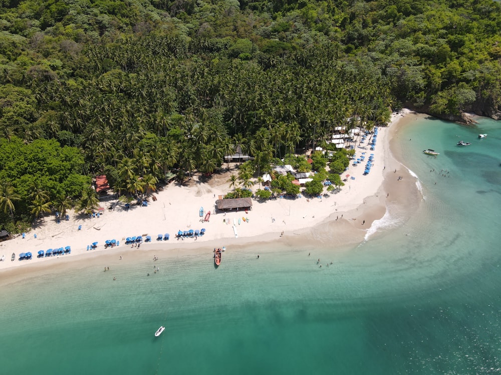 people on beach during daytime