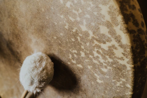 white bird on brown sand