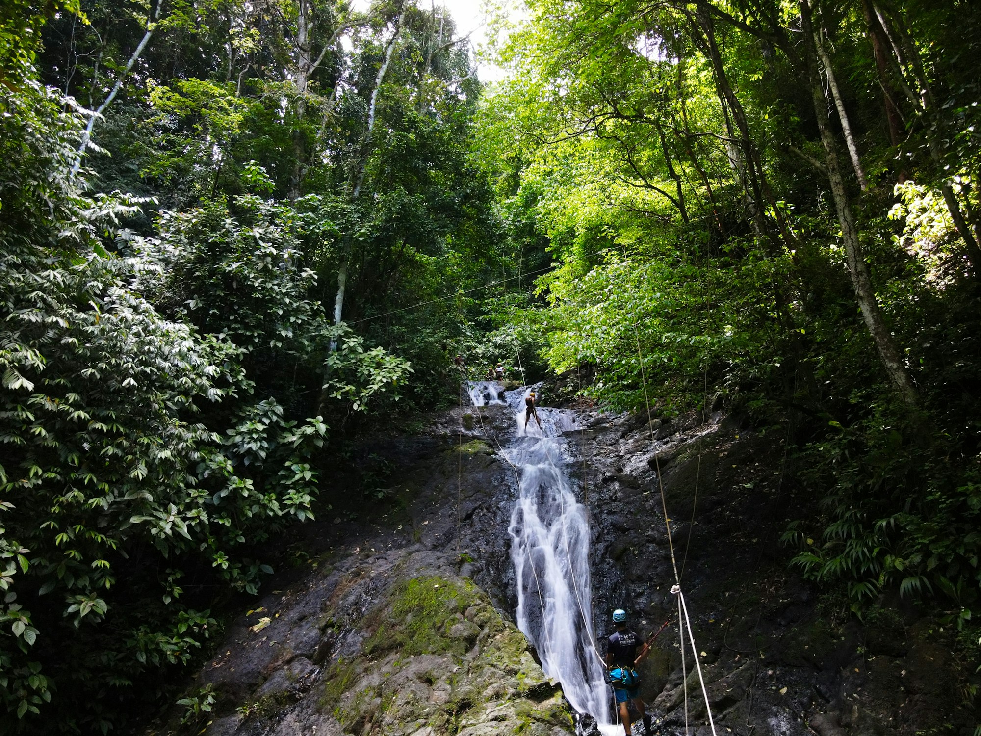 Tours: Discovering Local Culture & Traditions