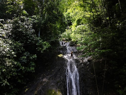 waterfalls in the middle of the forest