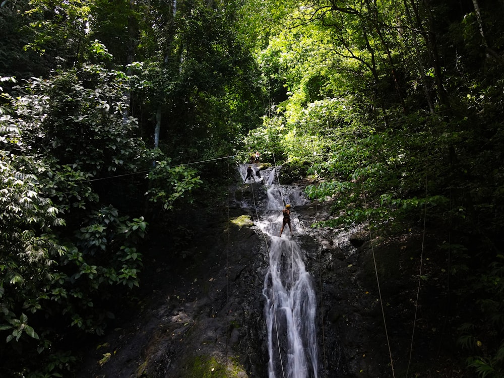 waterfalls in the middle of the forest