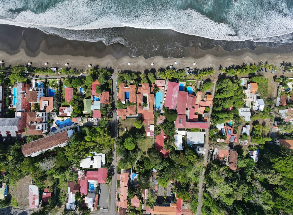 aerial view of houses near beach during daytime