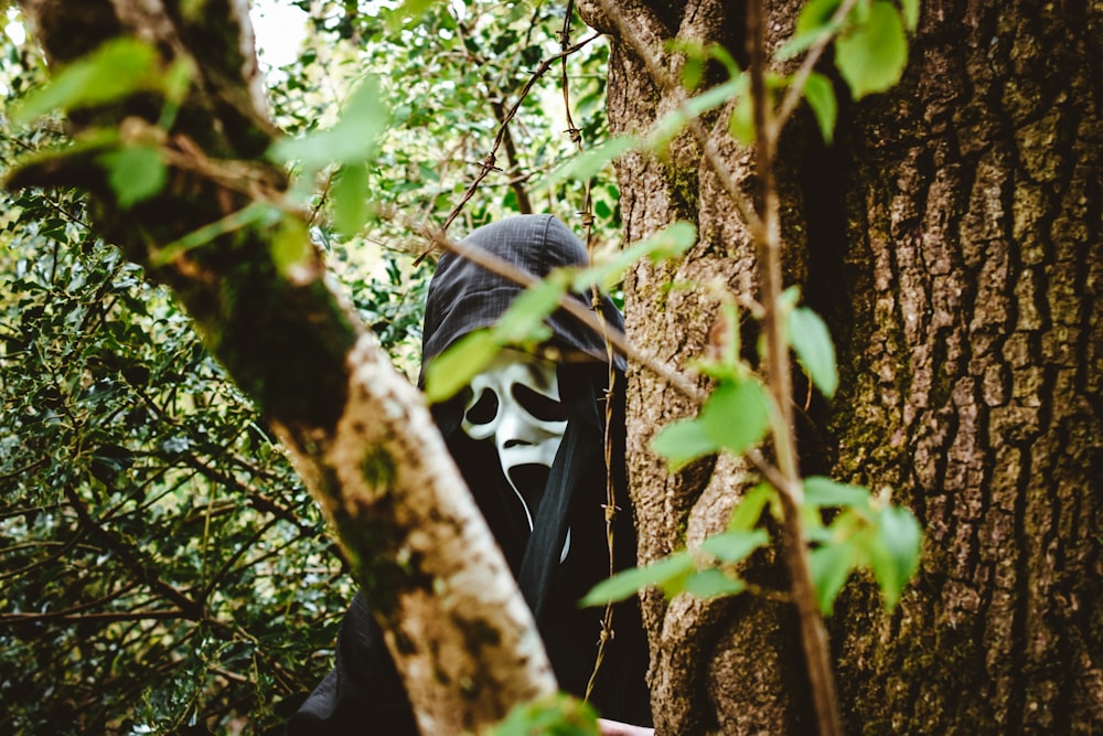 gray and black mask on tree