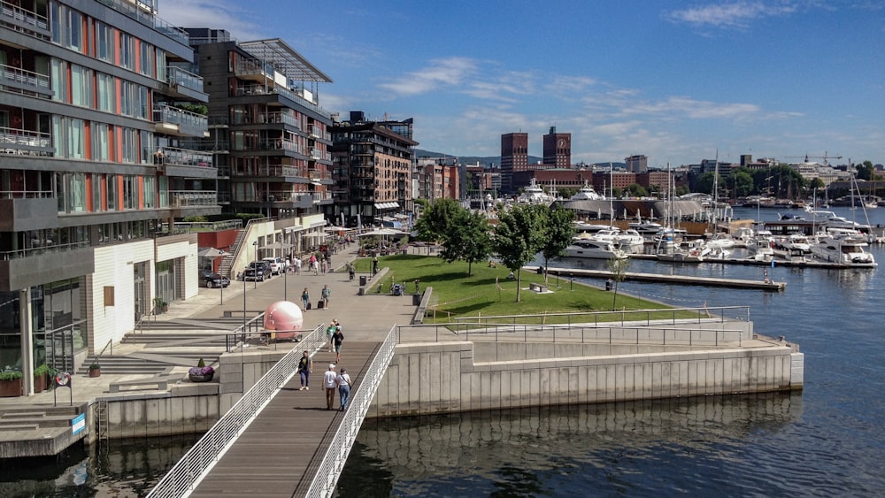 people walking on sidewalk near body of water during daytime