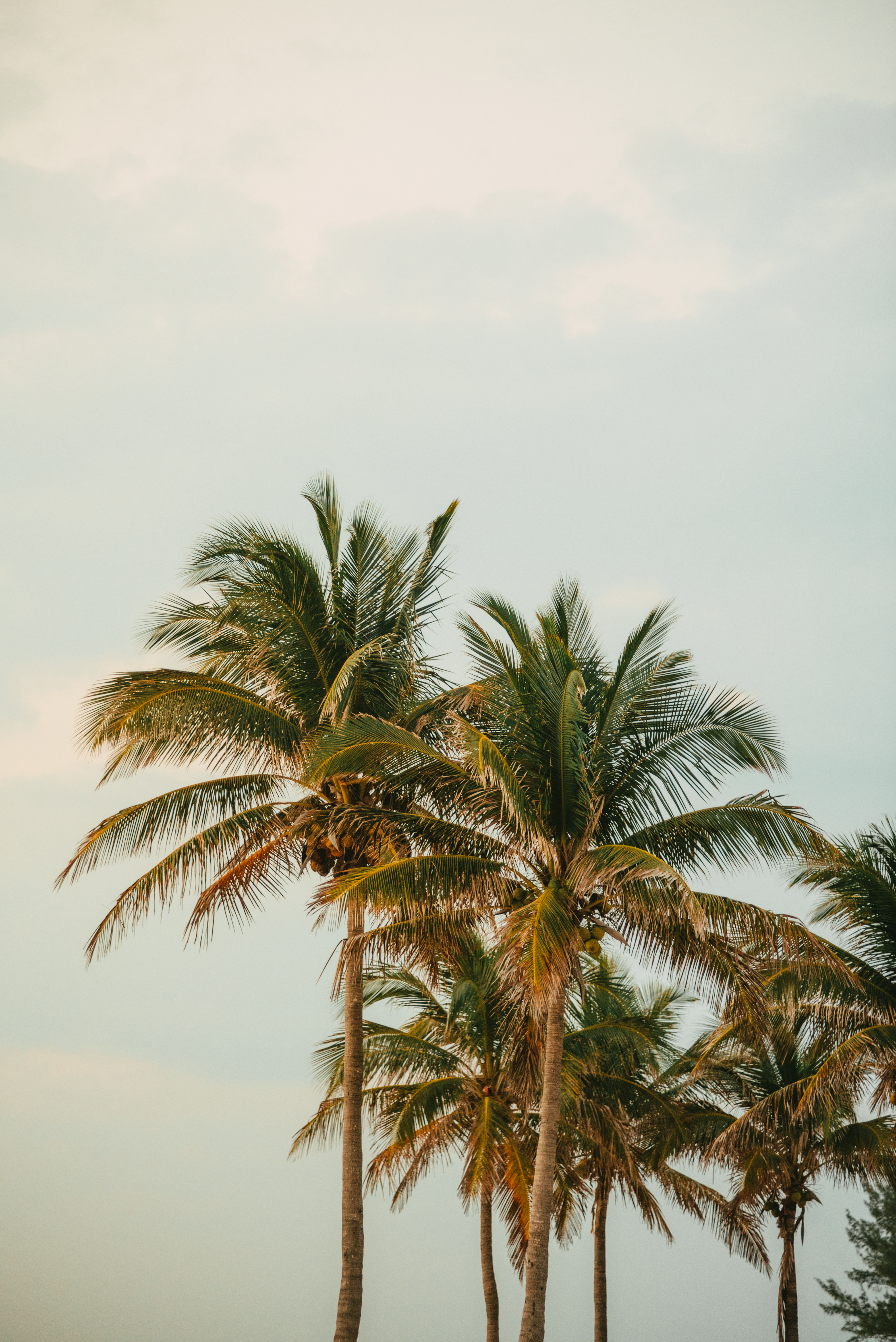 Photo by parsamphotography