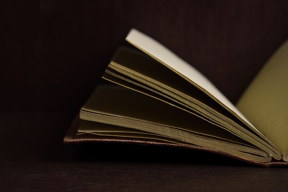 white book on brown wooden table