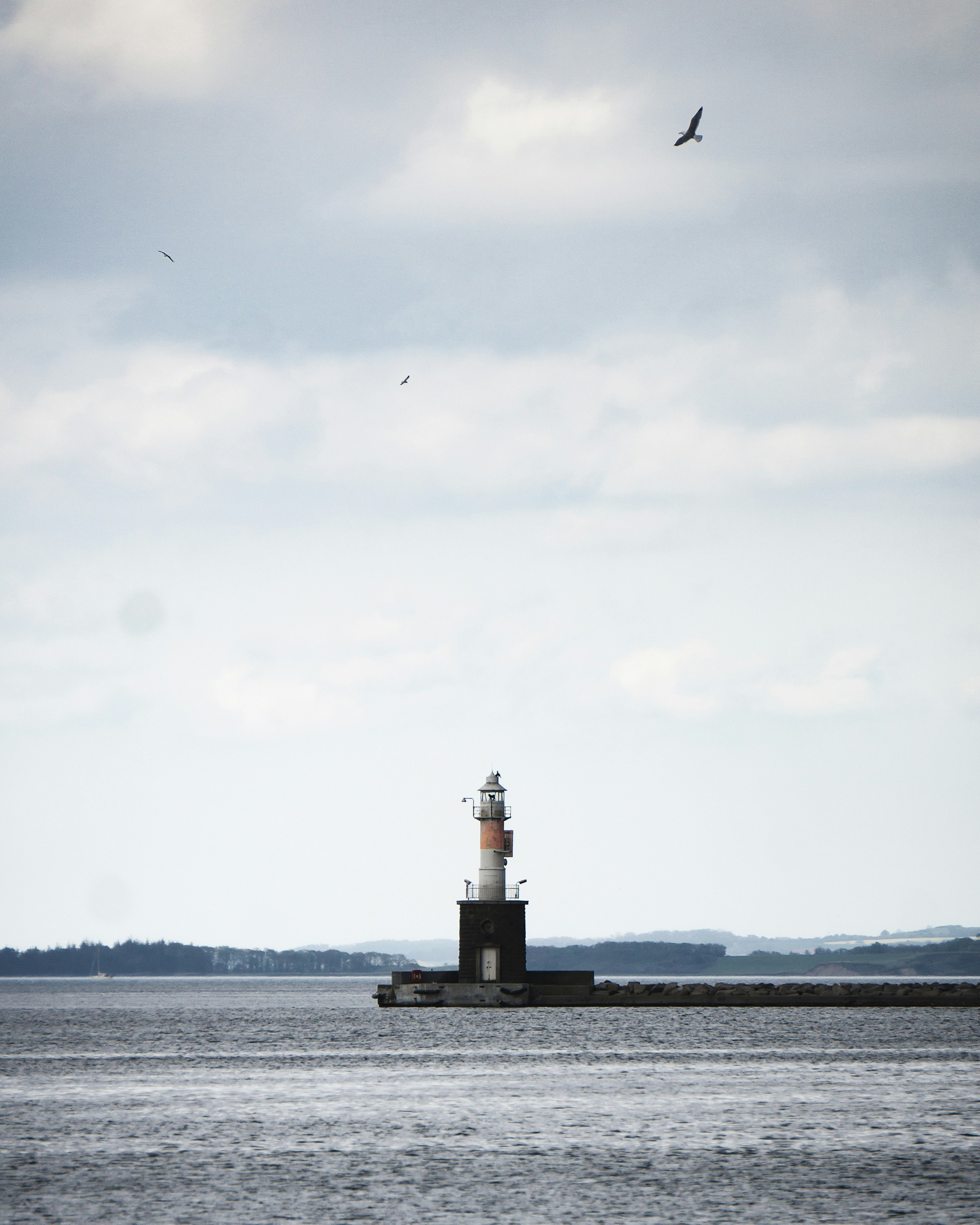 Photo by bastian_hyldahl