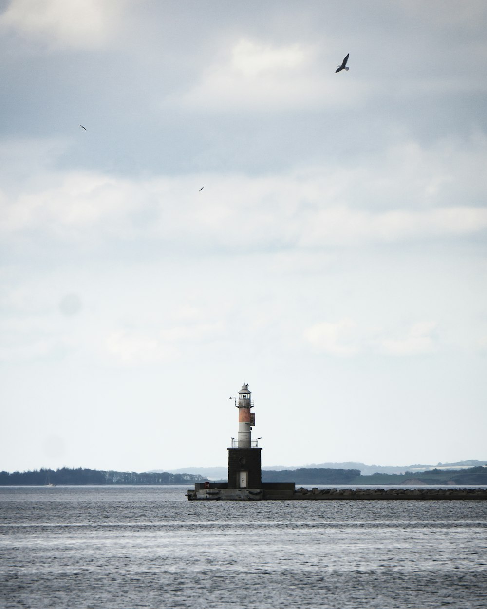 black and white lighthouse near body of water during daytime