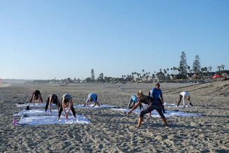 people on beach during daytime