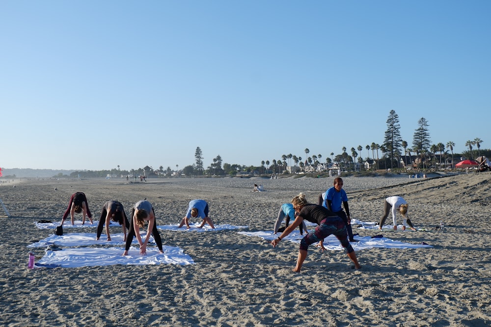 people on beach during daytime