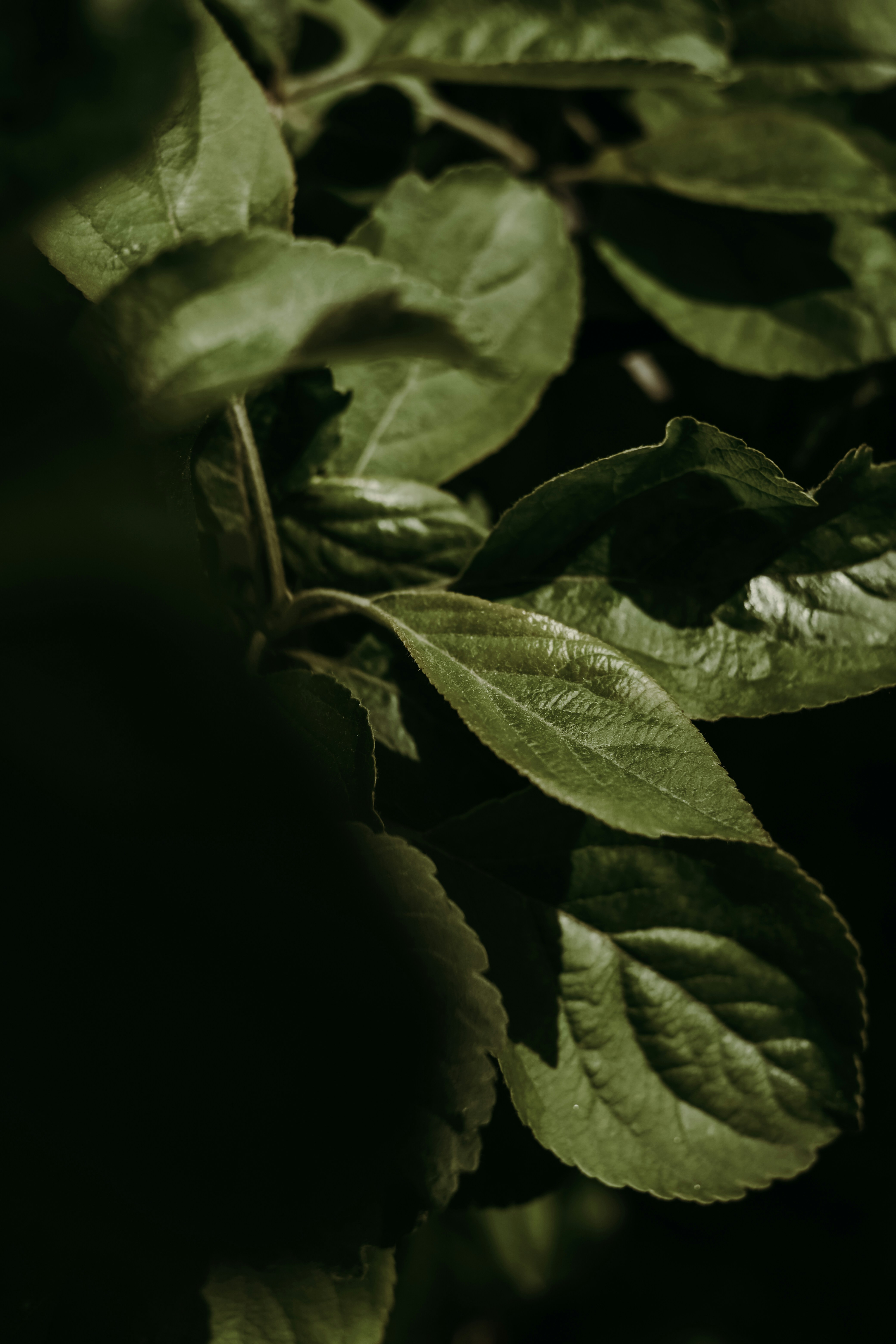 Relevant Instructions and Experience is Key For Finding the Best Home Care Agencies in Boston MA