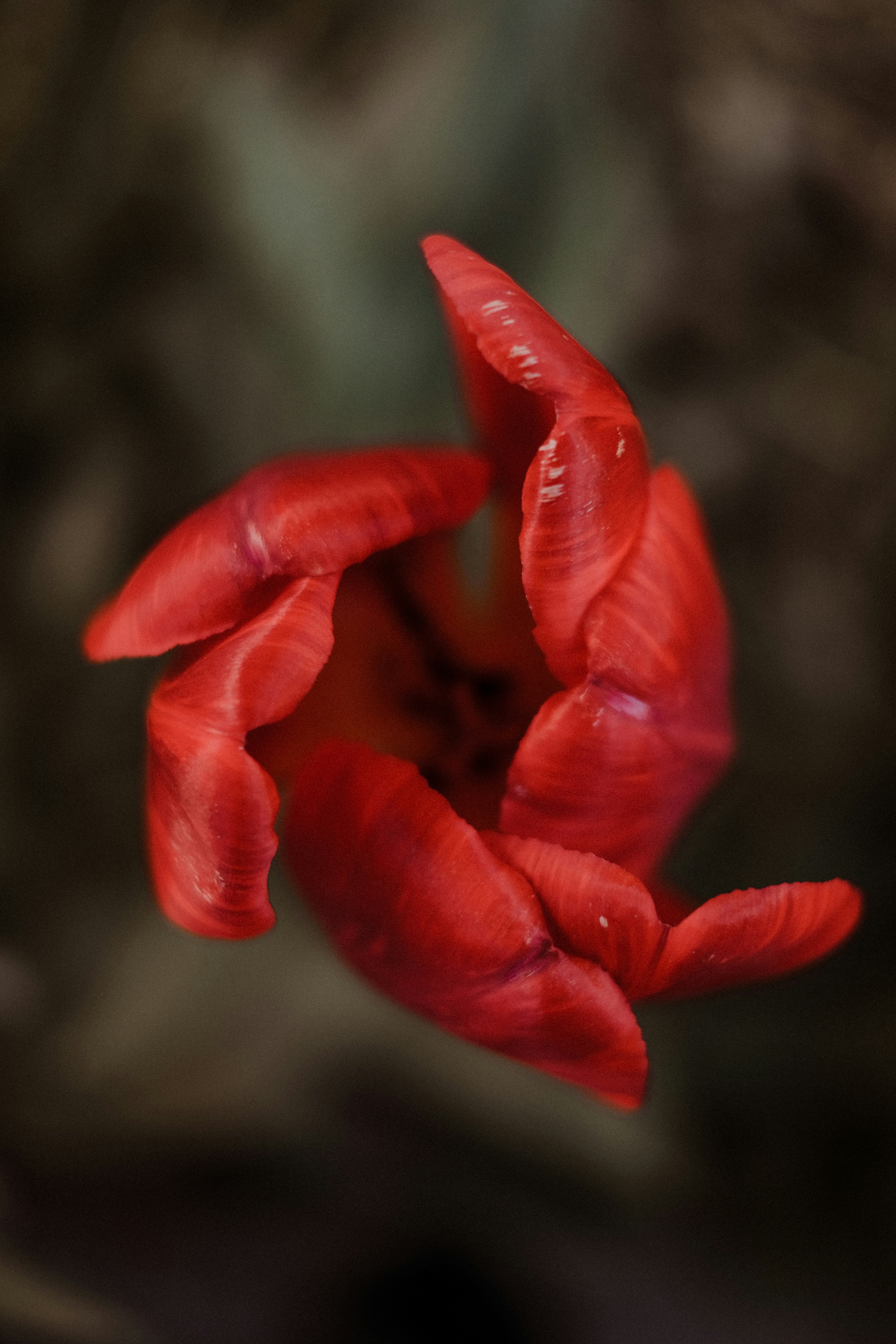 Photo by valeriiamiller